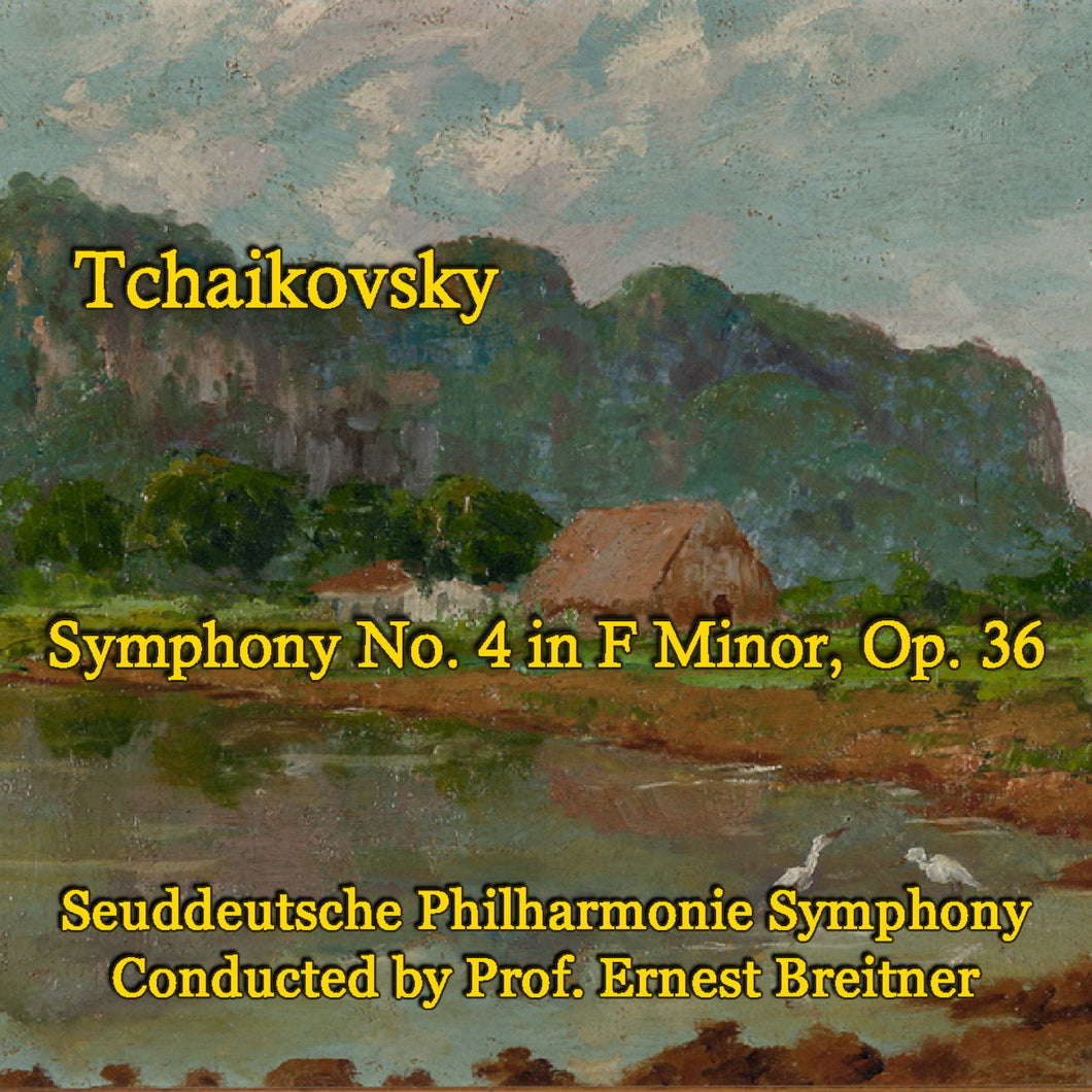 I Andante sostenuto   Moderato con anima   Seuddeutsche Philharmonie Symphony