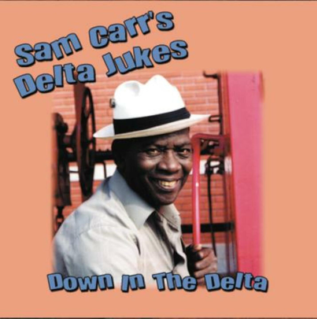 Blues Is A Feeling   Sam Carr's Delta Jukes