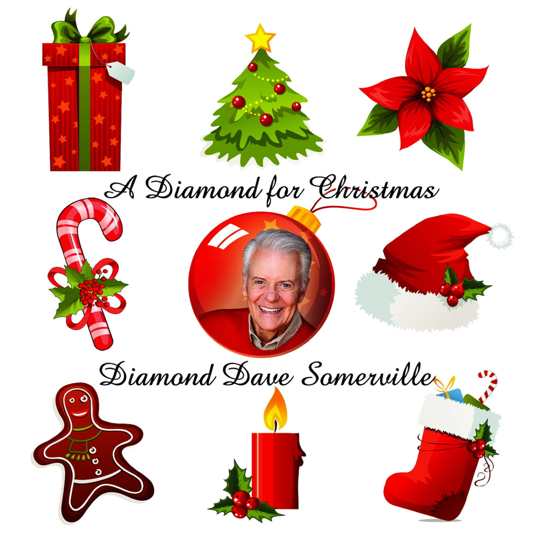 Family Time Of Year   Diamond Dave Somerville