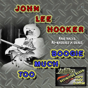 Too Much Boogie   John Lee Hooker