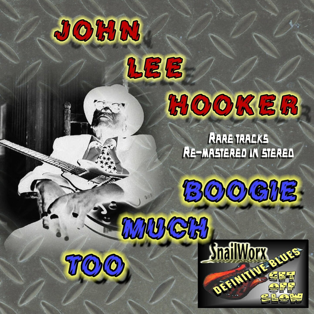Too Much Boogie   John Lee Hooker